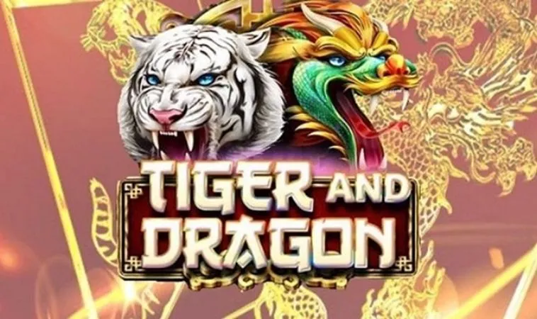 Hướng Dẫn Tham Gia Dragon Tiger Tại Nhà Cái TDTC Dễ Dàng 6 Dragon Tiger Tại Nhà Cái TDTC