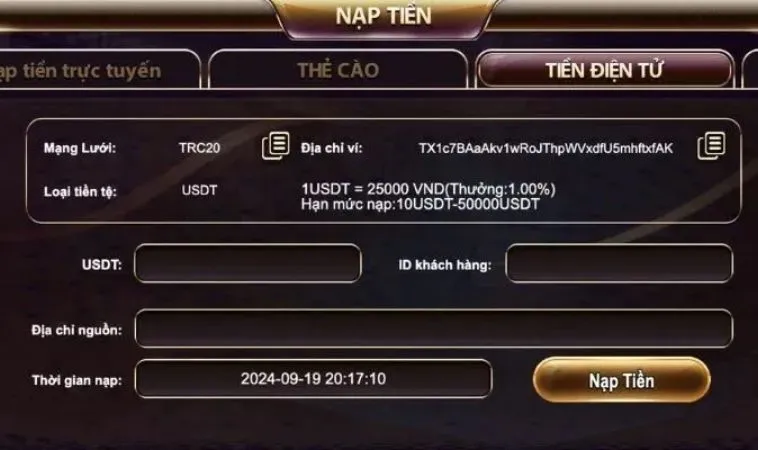 Hướng Dẫn Nạp Tiền TDTC: Tất Tần Tật Thông Tin Cần Biết 2 Giao diện Nạp Tiền TDTC