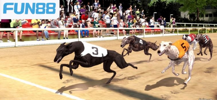 Những Mẹo Chiến Thắng Trong Đua Chó Ảo Fun88 Ít Người Biết 9 dua cho ao